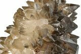 Beam Calcite Crystal Cluster with Phantoms - Morocco #203374-6